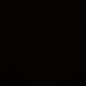 Meet your Posher, Ella